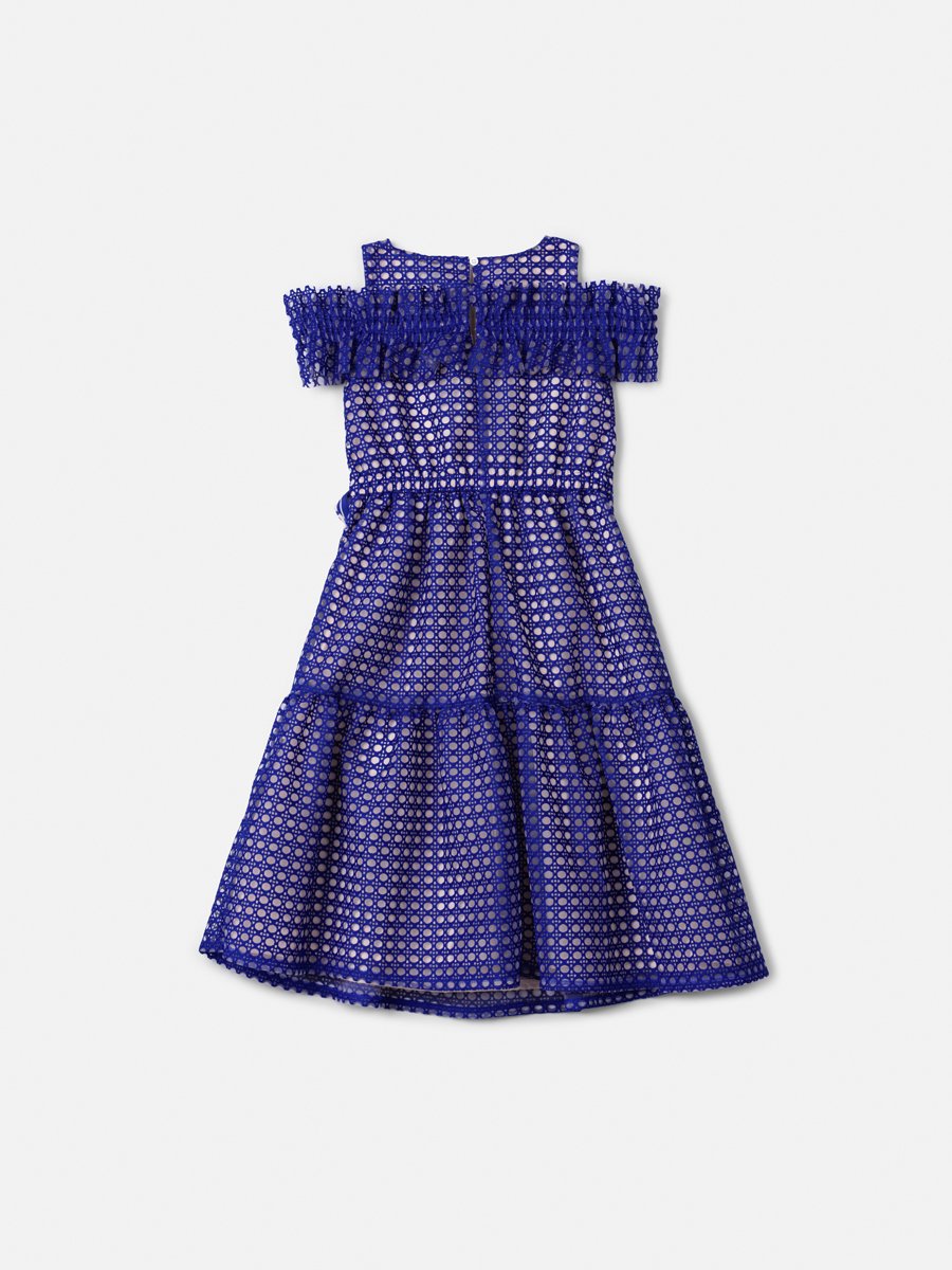 Children's Embroidered Tulle Dress with Ruffles