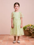 Green Tulle Dress with 3D Flowers